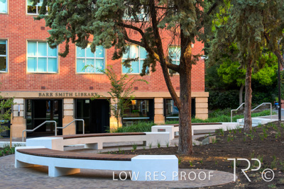 March 2025 / UoA-Public-Realm-250308-_Z8C8032