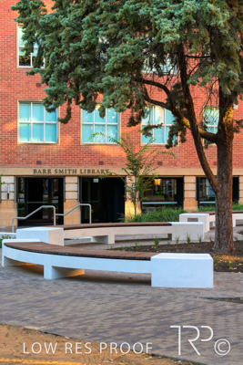 March 2025 / UoA-Public-Realm-250308-_Z8C8035