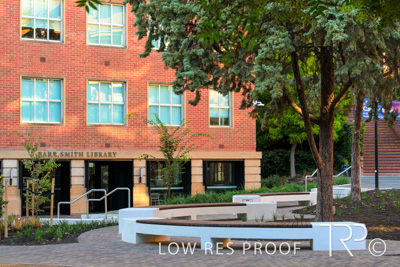 March 2025 / UoA-Public-Realm-250308-_Z8C8038