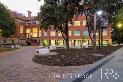 March 2025 / UoA-Public-Realm-250308-_Z9C3937