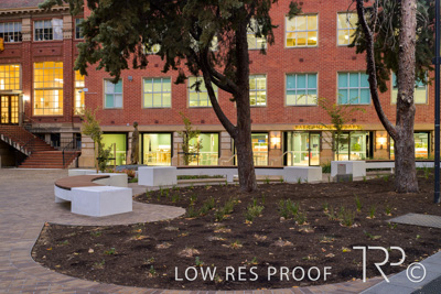 March 2025 / UoA-Public-Realm-250308-_Z9C3942