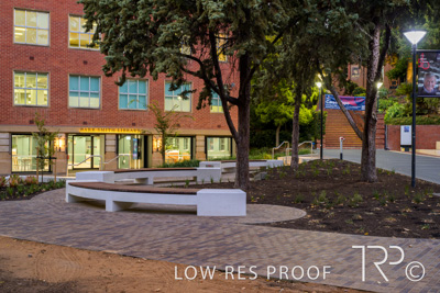 March 2025 / UoA-Public-Realm-250308-_Z9C3947