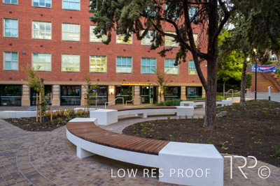 March 2025 / UoA-Public-Realm-250308-_Z9C3957