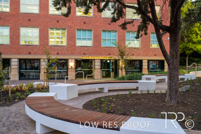 March 2025 / UoA-Public-Realm-250308-_Z9C3962