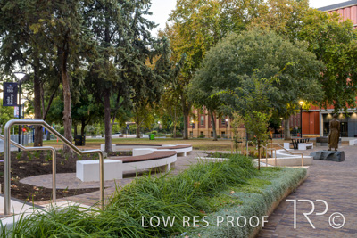March 2025 / UoA-Public-Realm-250308-_Z9C3977