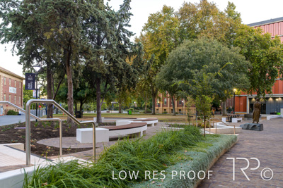 March 2025 / UoA-Public-Realm-250308-_Z9C3987