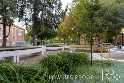 March 2025 / UoA-Public-Realm-250308-_Z9C3997