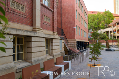 March 2025 / UoA-Public-Realm-250308-_Z9C4035