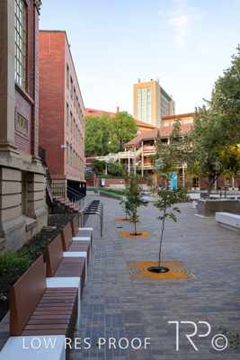 March 2025 / UoA-Public-Realm-250308-_Z9C4047