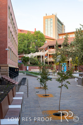 March 2025 / UoA-Public-Realm-250308-_Z9C4050