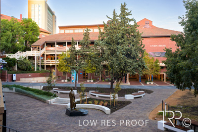 March 2025 / UoA-Public-Realm-250308-_Z9C4056