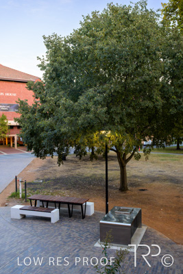 March 2025 / UoA-Public-Realm-250308-_Z9C4059