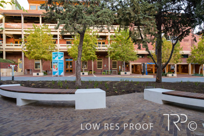 March 2025 / UoA-Public-Realm-250308-_Z9C4071