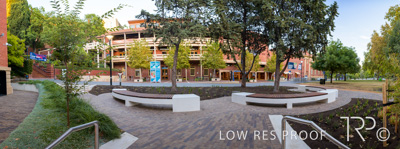 March 2025 / UoA-Public-Realm-250308-_Z9C4074