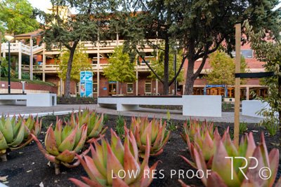 March 2025 / UoA-Public-Realm-250308-_Z9C4098