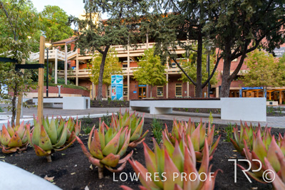 March 2025 / UoA-Public-Realm-250308-_Z9C4101