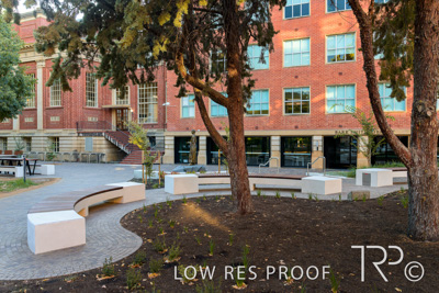 March 2025 / UoA-Public-Realm-250308-_Z9C4107