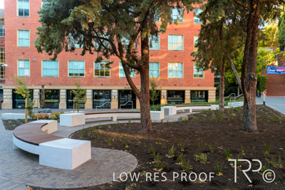 March 2025 / UoA-Public-Realm-250308-_Z9C4110