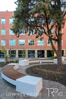 March 2025 / UoA-Public-Realm-250308-_Z9C4113