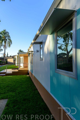 April 2025 / Westminster-Boarding-250424-_Z9C2845