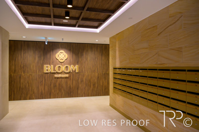 June 2025 / Glenside-Bloom-Appartments-250603-_Z9C7446