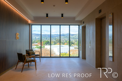 June 2025 / Glenside-Bloom-Appartments-250603-_Z9C8237