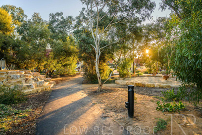 June 2025 / YIPTI-Landscaping_207