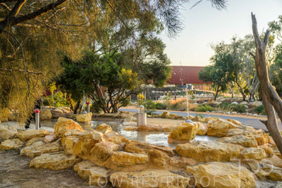 June 2025 / YIPTI-Landscaping_208