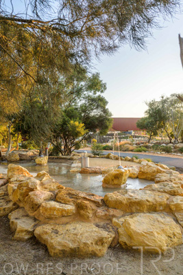 June 2025 / YIPTI-Landscaping_209