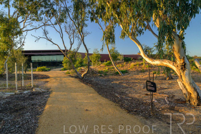 June 2025 / YIPTI-Landscaping_214