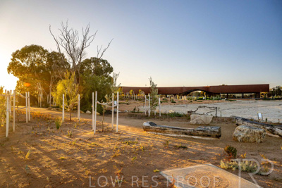 June 2025 / YIPTI-Landscaping_225