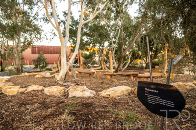 June 2025 / YIPTI-Landscaping_246