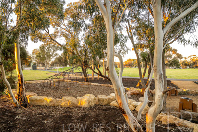 June 2025 / YIPTI-Landscaping_247