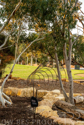 June 2025 / YIPTI-Landscaping_252