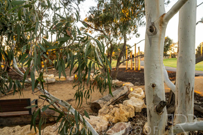 June 2025 / YIPTI-Landscaping_256