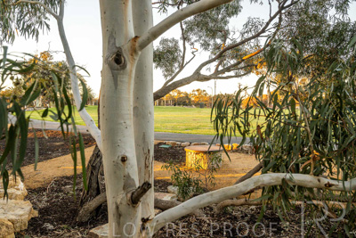 June 2025 / YIPTI-Landscaping_257