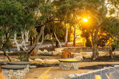 June 2025 / YIPTI-Landscaping_261