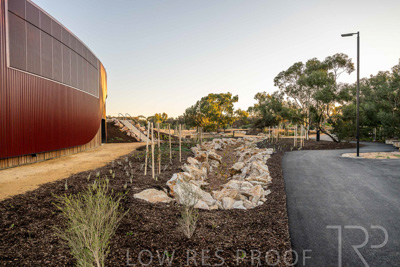 June 2025 / YIPTI-Landscaping_262