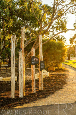 June 2025 / YIPTI-Landscaping_279