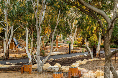 June 2025 / YIPTI-Landscaping_281