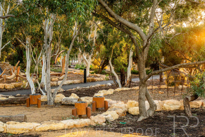 June 2025 / YIPTI-Landscaping_282