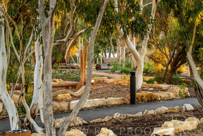 June 2025 / YIPTI-Landscaping_283