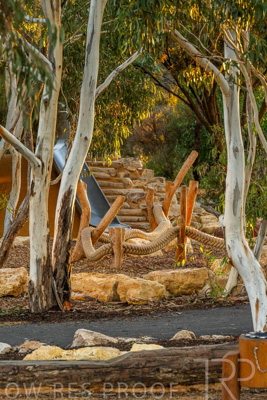 June 2025 / YIPTI-Landscaping_285