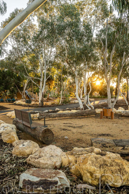 June 2025 / YIPTI-Landscaping_291