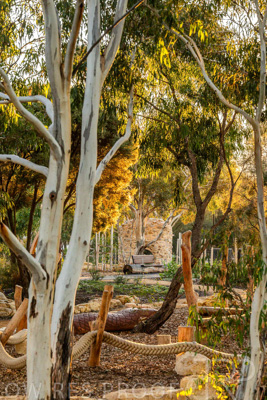 June 2025 / YIPTI-Landscaping_293