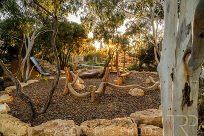 June 2025 / YIPTI-Landscaping_296