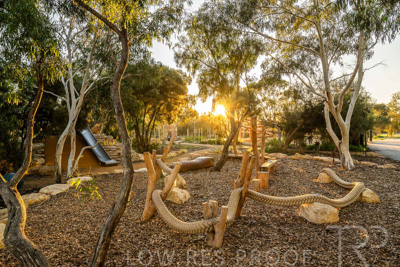 June 2025 / YIPTI-Landscaping_299