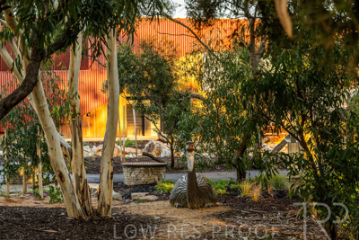 June 2025 / YIPTI-Landscaping_301