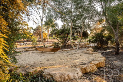 June 2025 / YIPTI-Landscaping_303