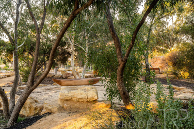 June 2025 / YIPTI-Landscaping_304